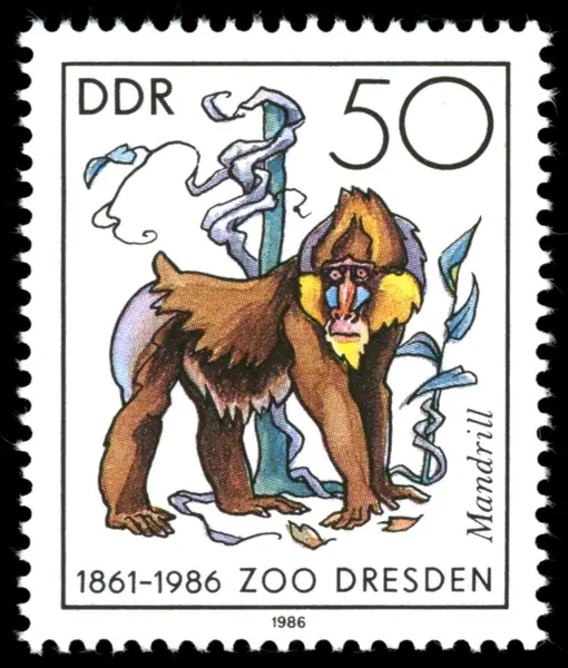 mandrill