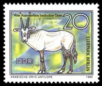 Arabische Oryx