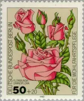 Floribunda-Grandiflora