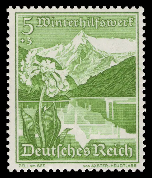 Zell am See Mountain Cowslip