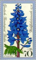 High Larkspur