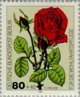 Floribunda