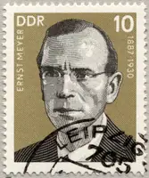 Meyer Ernst