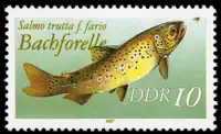 brown trout with Year 1987