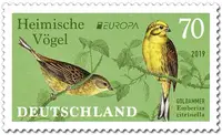 Emberiza citrinella