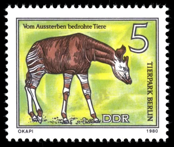 okapi