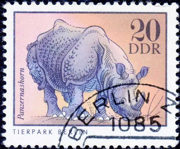 Panzernashorn
