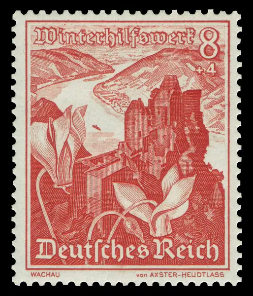 Aggstein Ruins cyclamen