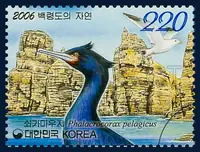 Phalacrocorax pelagicus