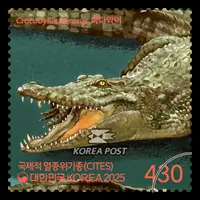saltwater crocodile