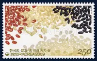 Rice Varieties (Jeokjinju, Keunnun, Joseongheukchal, and White Rice)