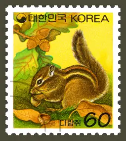 A squirrel Single stamp
