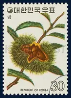 Chestnut