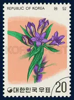 Gentian