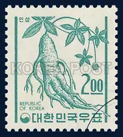 ginseng