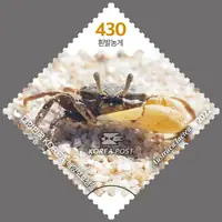 White-footed crab