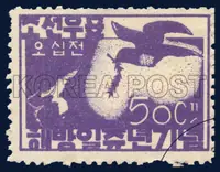 Map and Pigeon