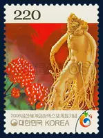 Ginseng, the root of life