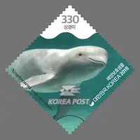 finless porpoise