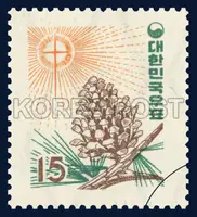 Star of Bethlehem & pine nut