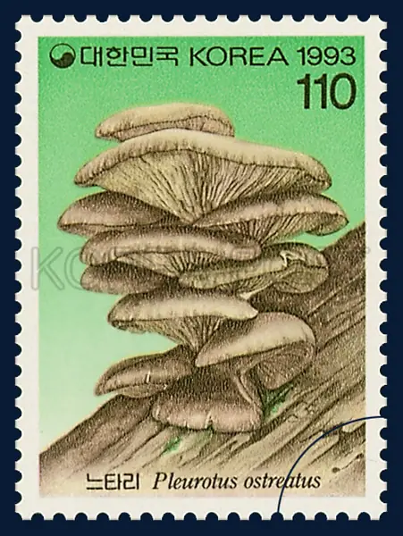 Nu-Ta-Ri(Pleurotus ostrea Kummer) Single stamp