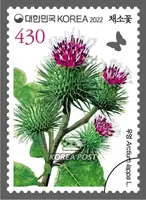 burdock