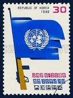 UN Flag and rifle