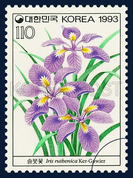 Iris ruthenica Ker-Gawier Single stamp