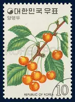 Cherry