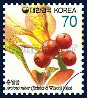Red cranberry