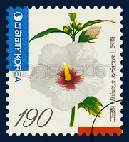 Rose of Sharon (Wonhwa, 1 blossom)