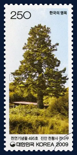 Jinan Cheonhwangsa Temple fir tree Single stamp