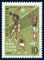 Volleyball