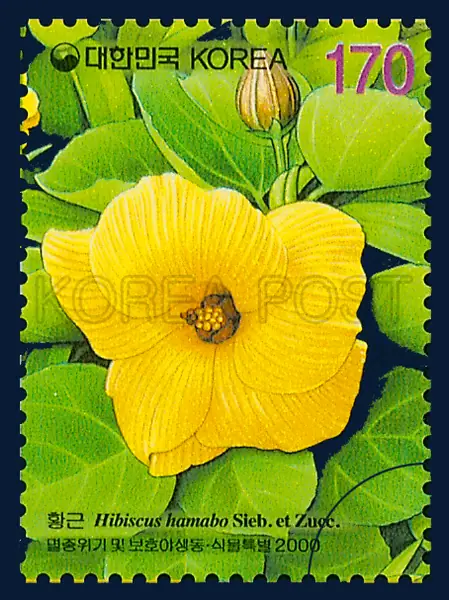 Hibiscus hamabo Sieb. et Zucc Single stamp