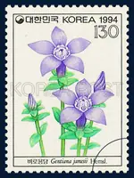 Gentiana jamesil Hemsl.