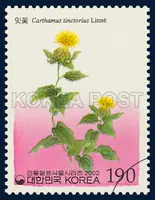 Carthamus tinctorius Linne