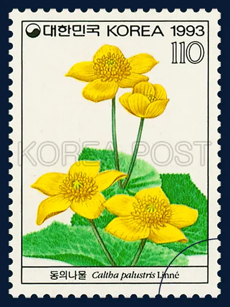 Caltha Palustris Linne Single stamp