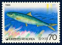 Sardine