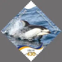 White-tailed dolphin