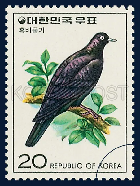 Wood pigeon Single stamp