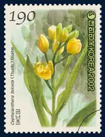 Cephalanthera falcata (Thunb.) Blume