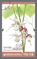 Epimedium