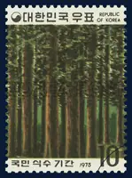 Green Forest