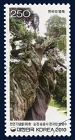 Natural Monument No. 88, Suncheon Songgwangsa Temple Cheonjaam Twin Cypress Trees