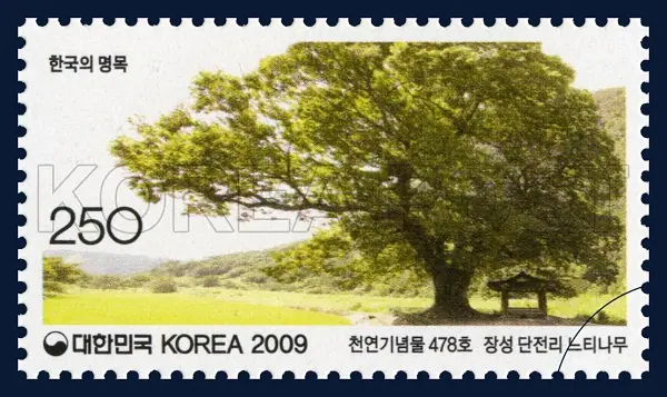 Jangseong Danjeon-ri Zelkova Tree Single stamp