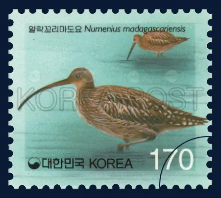 Australian Curlew Single stamp