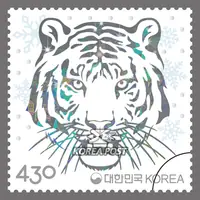 A New Year filled with the energy of the tiger