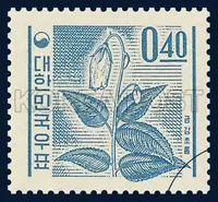 Keum Kang Cholong