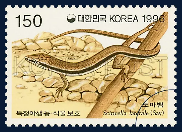 a Korean skink Single stamp
