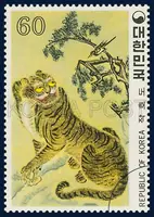 Magpie and Tiger
